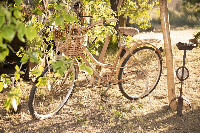 Alquilar una camper para ir en bicicleta