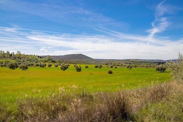 Ruta de Valencia a Sevilla en autocaravana y camper