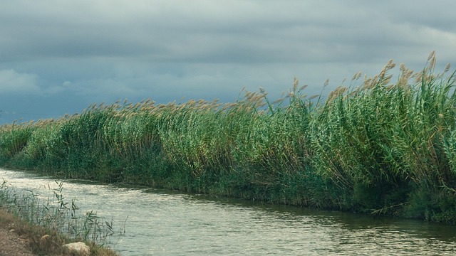 Viaje al Delta del Ebro en autocaravana y camper